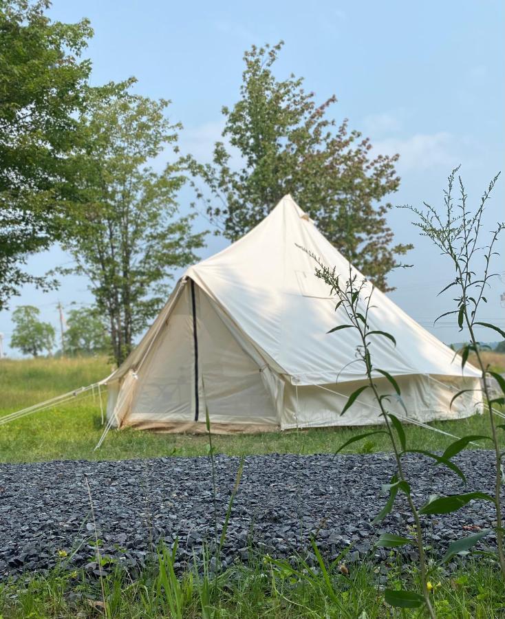 Naturluxe & Stars * Watkins Glen